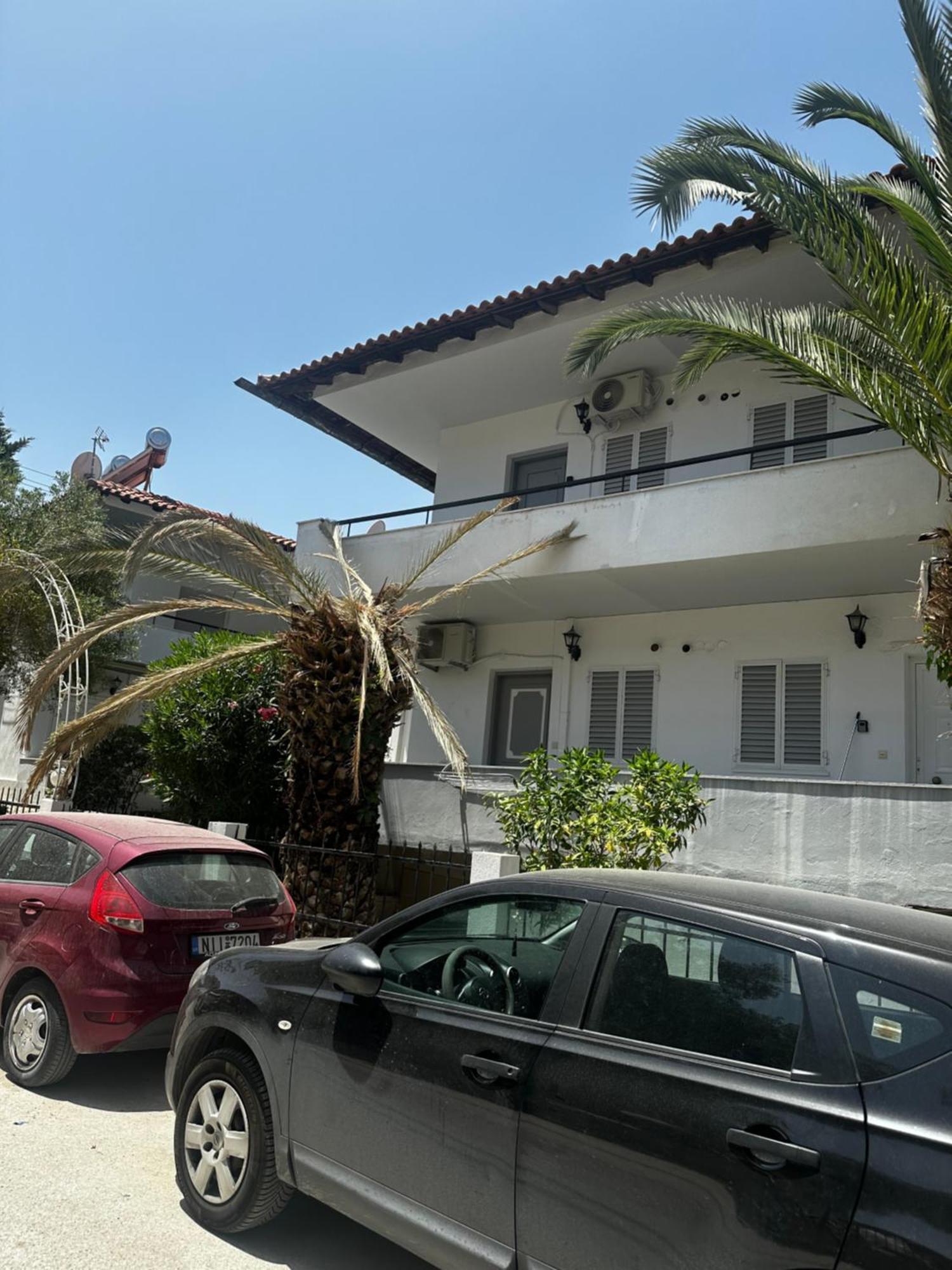 Palm Trees