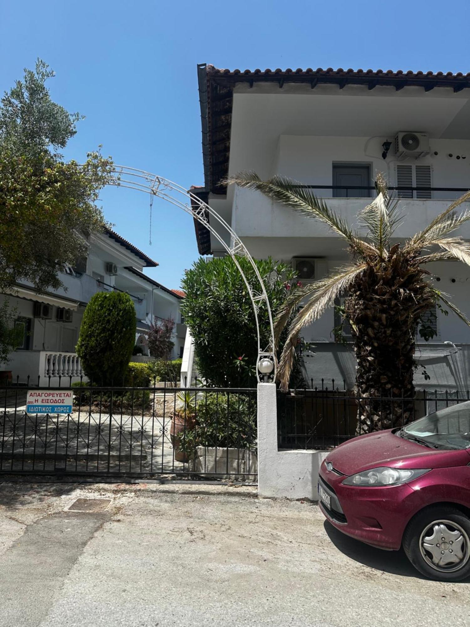 Palm Trees *