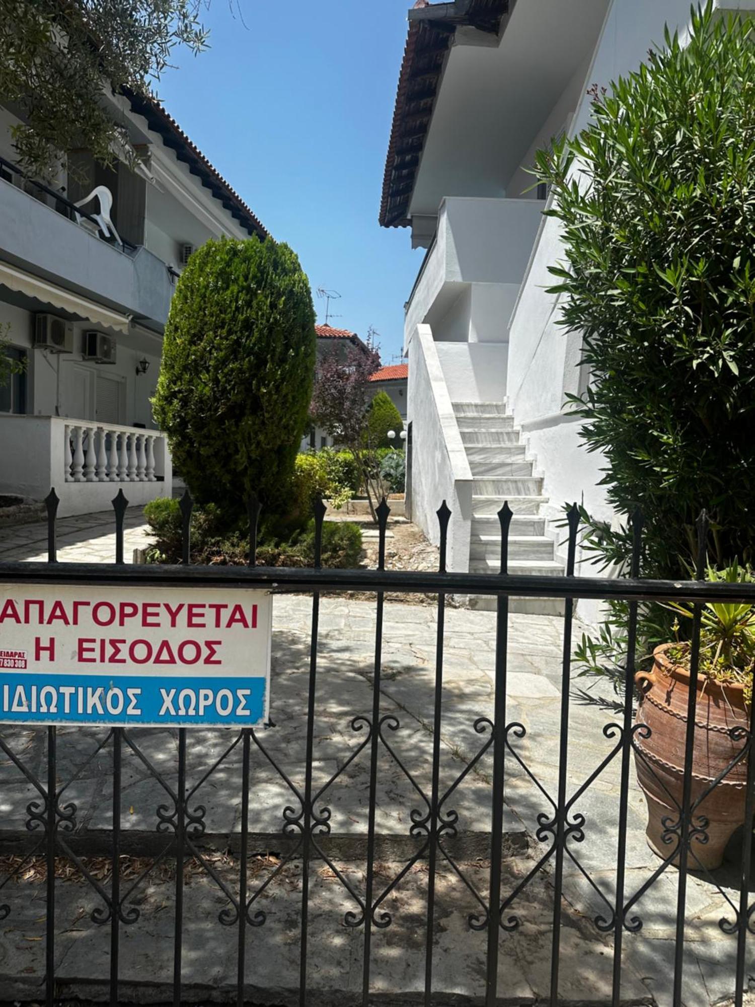 Palm Trees Pefkochori